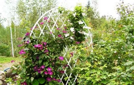 Trellis pentru plante cățărătoare