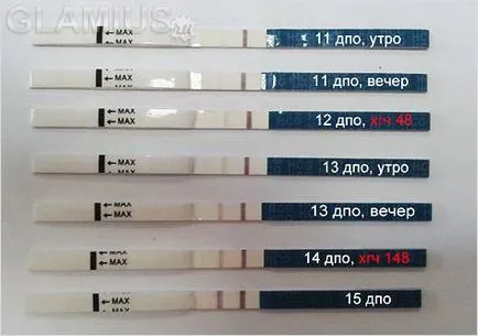 Slab test de sarcină benzi - utilizarea de teste pentru a determina sarcina