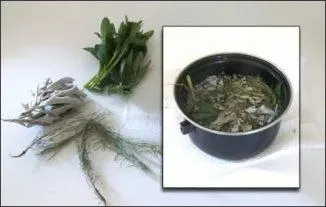 Muci ca apa într-un copil decât pentru a trata, cauzele, modul în care vindeca repede oamenilor mijloace decât (muci) Muci ca apa într-un copil decât pentru a trata, cauzele, modul în care vindeca repede oamenilor mijloace decât
