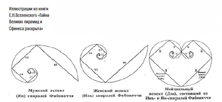 Fibonacci Spiral - X oră