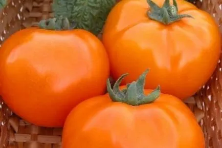 Numele Grad gradina de tomate cresc! (Grow) Numele Grad gradina de tomate cresc!