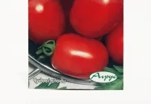 descriere și o fotografie de tomate Rio Grande tomate și soiuri, comentarii originale