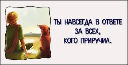 Secretele de „Micul Prinț“ mesaje ascunse în ghilimele () Secretele „Micul Prinț“ mesaje ascunse în ghilimele