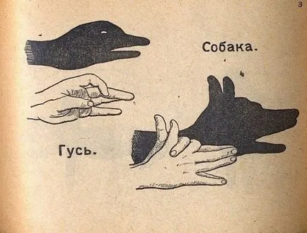 umbre animale mâini
