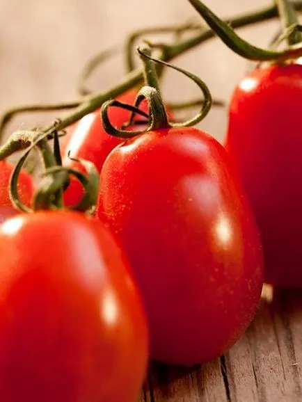 Tomate Descrierea Rio Grande și caracteristicile soiului, fotografie recenzii grădinari - eteplitsa (grande) Tomate Descrierea Rio Grande și caracteristicile soiului, fotografie recenzii grădinari - eteplitsa