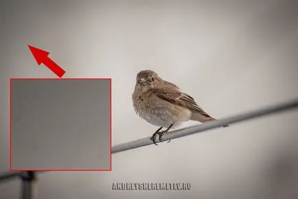 Cum pot verifica aparatul de fotografiat atunci când cumpărați imagini școală Andrey Sheremetyev