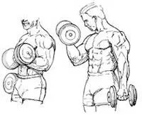 Exercitii cu gantere la domiciliu leagăn biceps, triceps, umeri, piept, spate și picioare la domiciliu