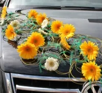 Decorare de mașini de nunta vom alege cel mai elegant și original (masina de nunta inel) Decorare de mașini de nunta vom alege cele mai elegante și originale