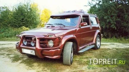 lanuri de porumb Tuning îmbunătăți vaze de interior 2121, 2131 cu propriile sale mâini (câmpuri) lanuri de porumb Tuning îmbunătăți vaze de interior 2121, 2131 cu propriile sale mâini