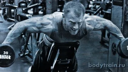 Formarea pentru un set de masa musculara