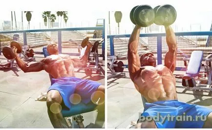 Formarea pentru un set de masa musculara