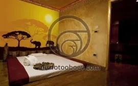 Tipuri de modele de interior, Photowall mondial