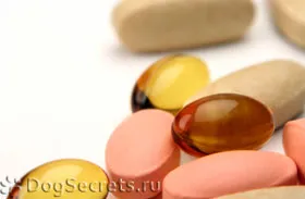 Vitamine pentru câini și căței, pentru lână și prețul articulațiilor, recenzii
