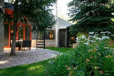 Cele mai bune tipuri de brazi soiuri ornamentale pentru cultivarea în grădină (vizualizări) Tipuri de brazi soiuri ornamentale cele mai bune pentru cultivarea în grădină