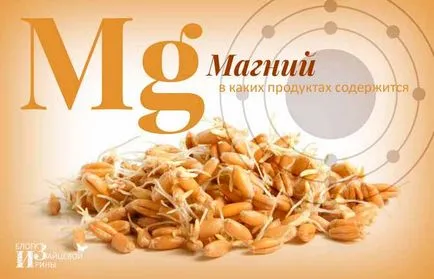 Ce alimente conțin magneziu