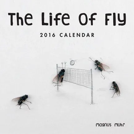 12 calendare cele mai bizare pentru 2016, time-out