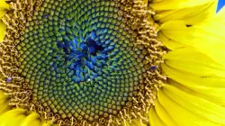 17 dintre cele mai cunoscute citate despre timp