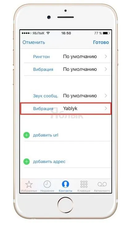 15 funcții anonime iPhone, care s-ar putea să nu știți, știri iPhone, iPad și Mac (iOS) 15 funcții iphone Anonymous, care s-ar putea să nu știți, iPhone știri, iPad și Mac