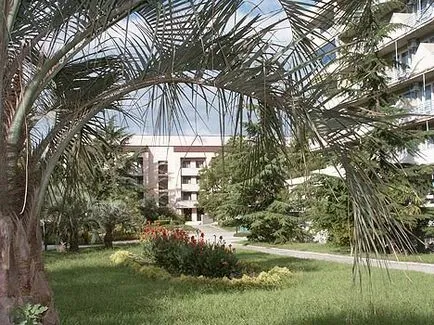 Odihnească-se în Adler Adler în 2017, fără brokeri aferente pentru (2017) Odihnească-se în Adler Adler în 2017, fără intermediari la
