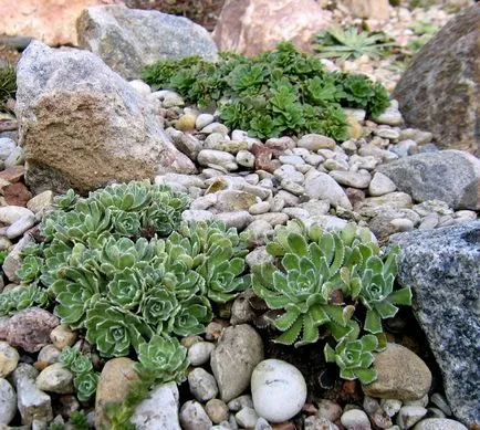 Alpine diapozitiv mâinile foto, video, creația sa diagrama