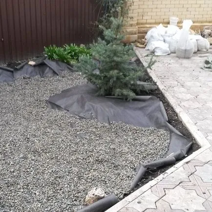 Alpine diapozitiv mâinile foto, video, creația sa diagrama