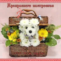 imagini gif animate și cărți poștale