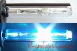 xenon auto (xenon)
