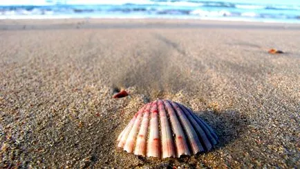 Belek, Turcia - vacanta, meteo, recenzii, fotografii (pui) Belek, Turcia - vacanta, meteo, comentarii, fotografii