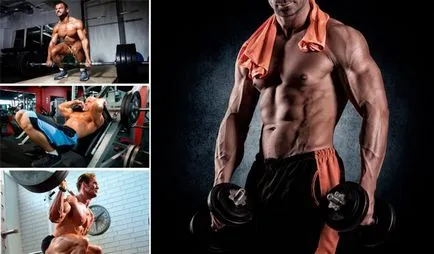exerciții de bază și de izolare în clădirea corpului, lista de exerciții (izolare) exerciții de bază și de izolare în culturism, lista de exerciții