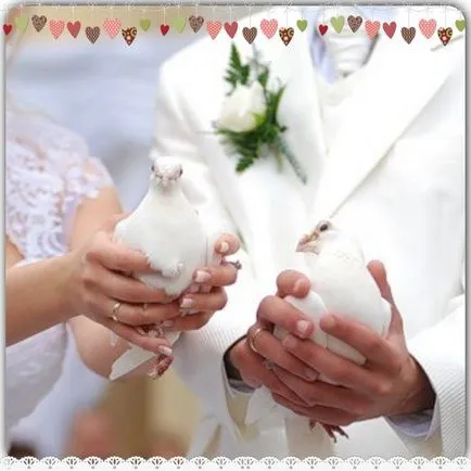 porumbei albi pentru traditia populara nunta, semnele, lansarea păsărilor (alb) porumbei albi pentru nunta traditie populara, semnele, păsările încep