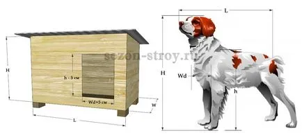 Cum de a calcula dimensiunea de cabina pentru câine, sezonul-funcționare