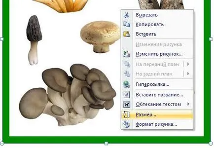 Cum se imprimă dimensiunea dorită a imaginii (pentru a imprima o anumită dimensiune a imaginii) Cum se imprimă o imagine de dimensiunea corectă