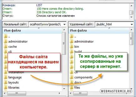 Cum de a găzdui site-ul dvs. pe internet - o descriere detaliată a planului de acțiune (internet) Cum de a găzdui site-ul dvs. pe internet - o descriere detaliată a planului de acțiune