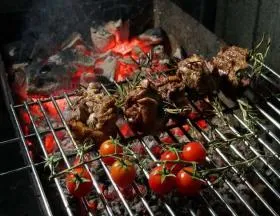 Feluri de mâncare pe gratar - cele mai bune rețete cu fotografii (rețete) Feluri de mâncare pe gratar - cele mai bune rețete cu fotografii