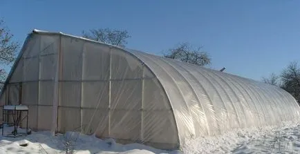 Idei de afaceri din sat de la sol în sus decât să facă, opțiunile domeniile de activitate (sat) Idei de afaceri din sat de la sol în sus decât să facă, opțiunile domeniile de activitate