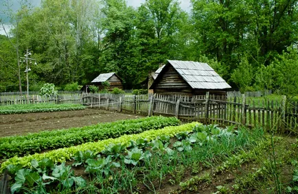 la ideile cabana lor de vară de afaceri (iulie 2017) (de afaceri) dacha la ideile lor de afaceri cabana de vara (iulie 2017)