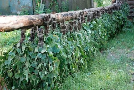 Afaceri în sat - Este posibil să se organizeze afacerea de la zero (zero) Afaceri în sat - Este posibilă organizarea de afaceri de la zero