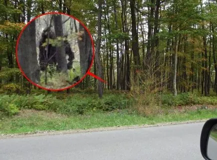 Bigfoot - Mit sau realitate - fapte de mare