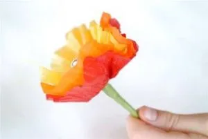 Buchet de acadea cu mâinile lor (lor) Buchet de acadea cu propriile sale mâini