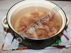 Supa cu carne de pui - delicioase fotografii acasă pas reteta (borș) Supa cu carne de pui - delicioase acasă-pas fotografii reteta