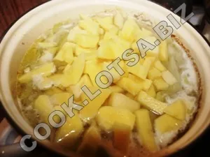 Supa cu carne de pui - delicioase fotografii acasă pas reteta (borș) Supa cu carne de pui - delicioase acasă-pas fotografii reteta