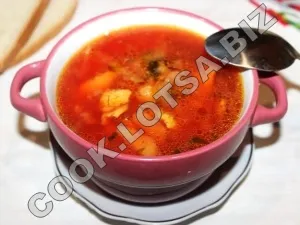 Supa cu carne de pui - delicioase fotografii acasă pas reteta (borș) Supa cu carne de pui - delicioase acasă-pas fotografii reteta
