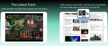 Browsere cu suport pentru Adobe Flash Player pentru iPad free download