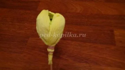 Lalele de dulciuri cu mâinile sale (o oază de flori uscate) Lalele de dulciuri cu mâinile sale