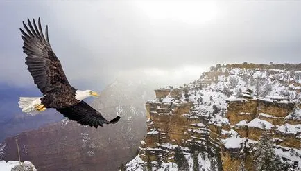Grand Canyon, un mare Grand Canyon în Statele Unite ale Americii (canion) Grand Canyon, un mare Grand Canyon din SUA