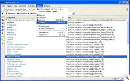 browser-ul Opera - cu orientare pentru utilizare - yachaynik - site-ul pentru manechine reale