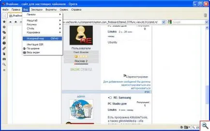 browser-ul Opera - cu orientare pentru utilizare - yachaynik - site-ul pentru manechine reale