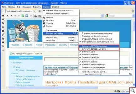 browser-ul Opera - cu orientare pentru utilizare - yachaynik - site-ul pentru manechine reale