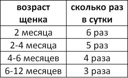 Ce să se hrănească un Rottweiler, cum să se hrănească Rottweiler (foto)