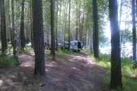 Patru nopți în pădure